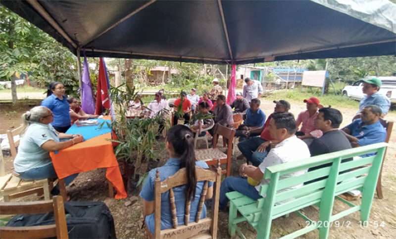 entregan-certificados-y-material-vegetativo-de-bambu